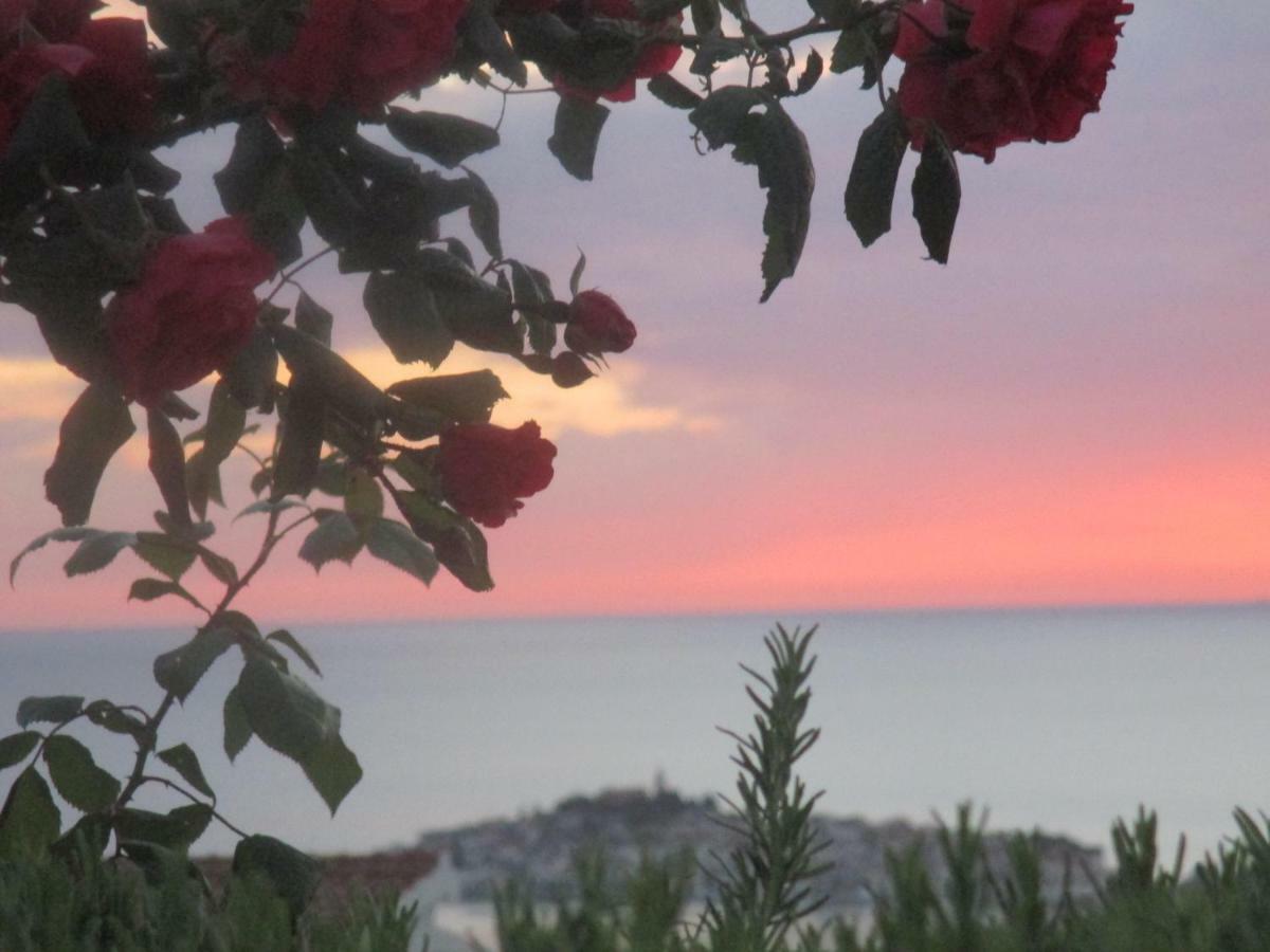 Apartment Santa Marina Primošten المظهر الخارجي الصورة